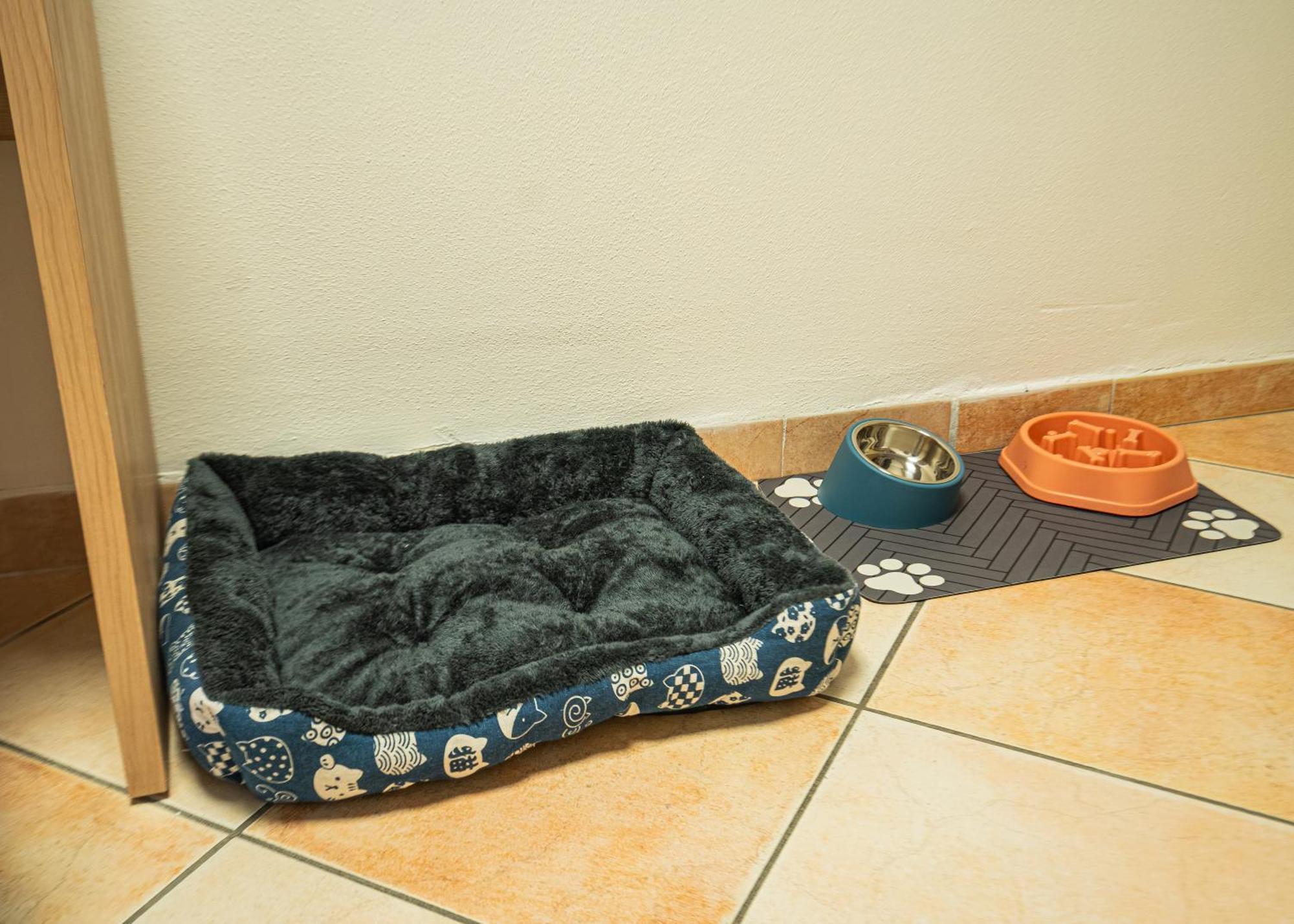 Hotel Aldebaran Rimini Zewnętrze zdjęcie